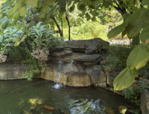 Louisville Nature Center